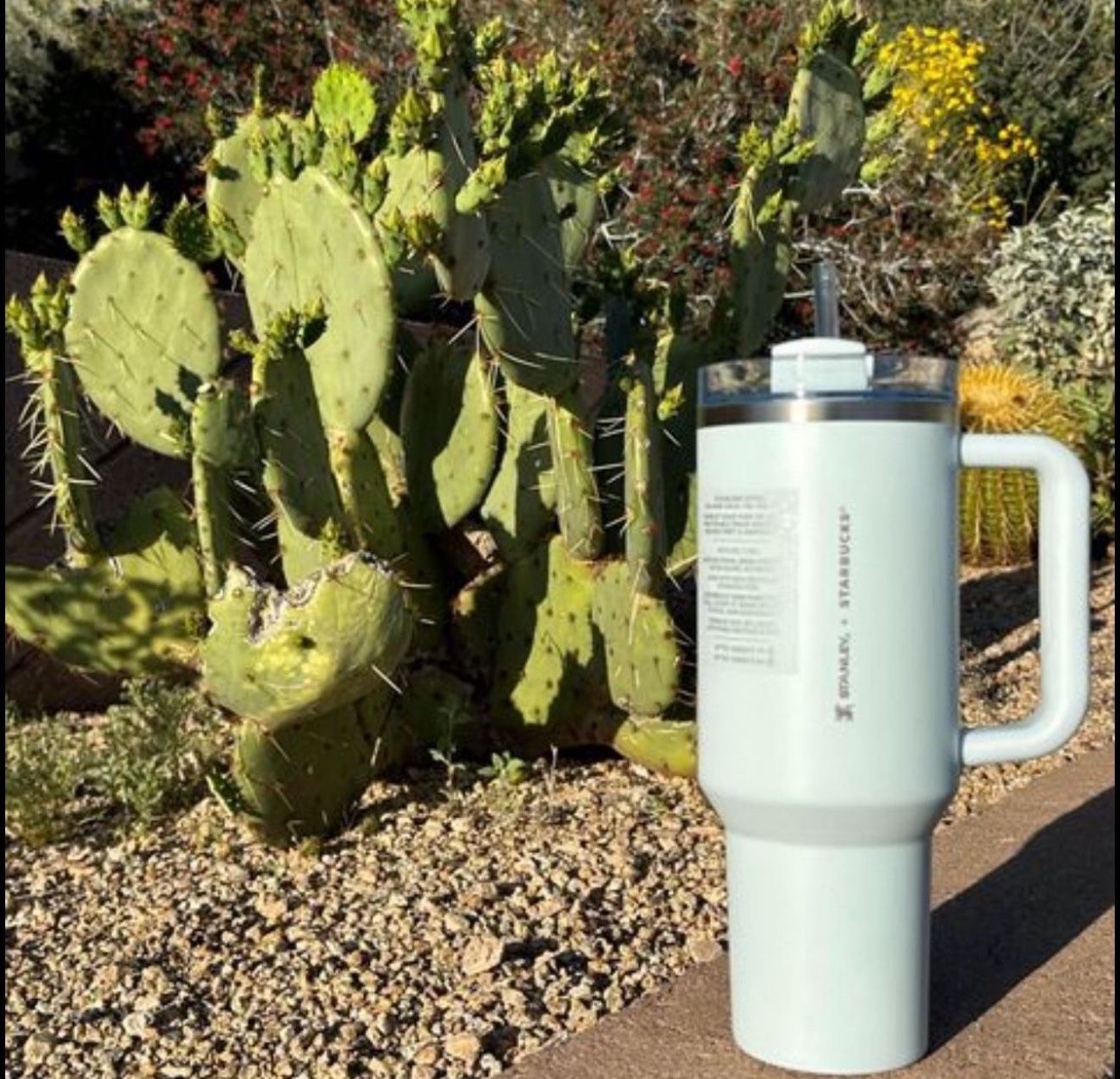Starbucks X Stanley Spring Blue Tumbler 40oz