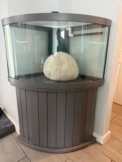 Bow Front Corner Fish Tank