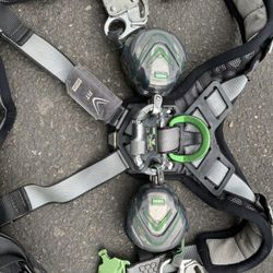 Harness and clamps