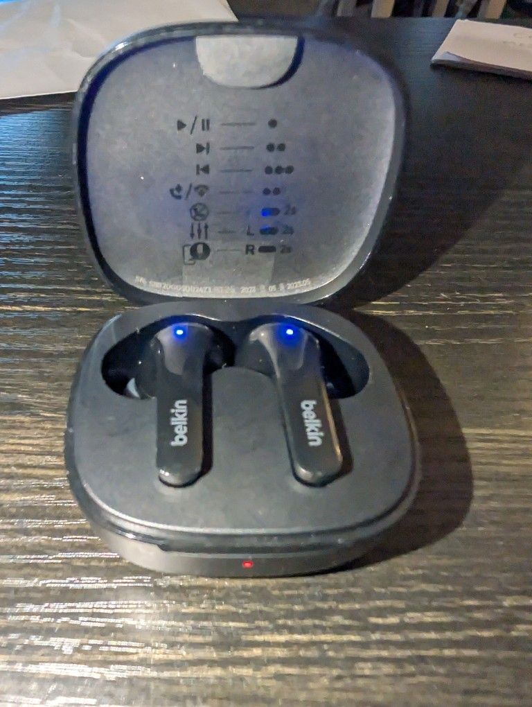 Earbuds