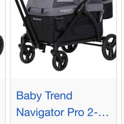 Stroller Wagon 