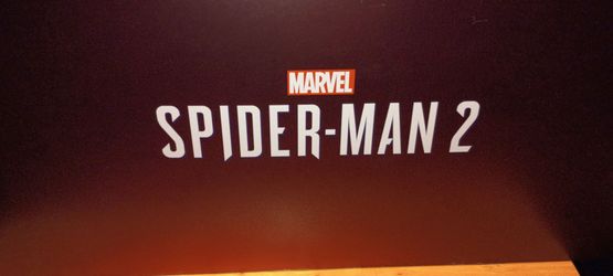 Spider-Man 2 Limited Edition
