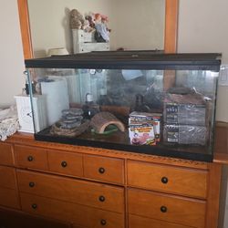 40 gallon aquarium with lid