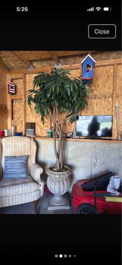 This is a tall  custom realistic looking tree