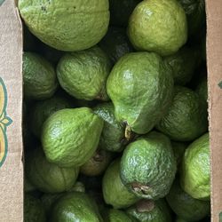 Guayaba Caja De 50 Libras $75