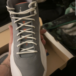 Jordan 12 new