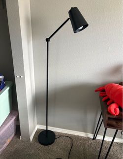 Black Adjustable Floor Lamp