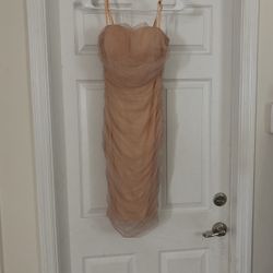 Nude Dress 