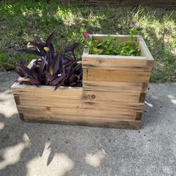Planter box with plants 