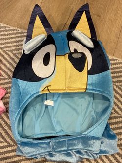 3-4t bluey costume