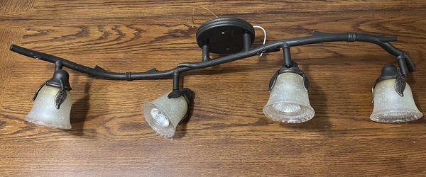 Free 4 Light bulb Fixture