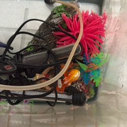 FISH TANK NOT FREE