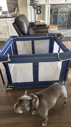 Dog play pen