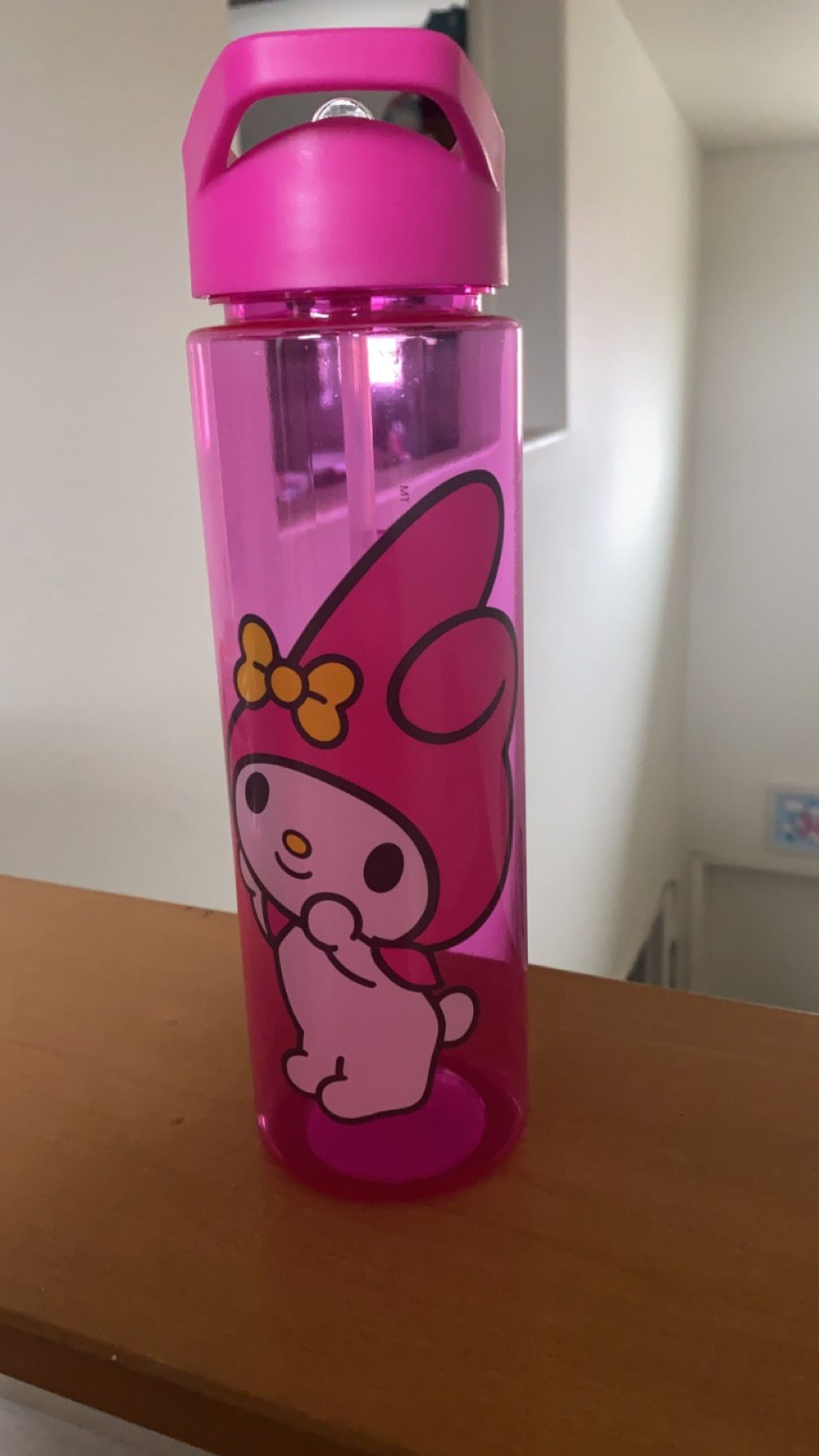 My Melody Water Bottle