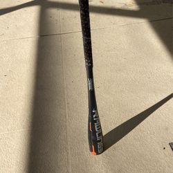 Rawlings prodigy Bat