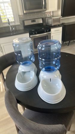 Water and food dispenser