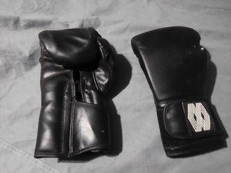 Boxing Gloves & Sparring Gear