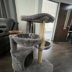 Cat Tower