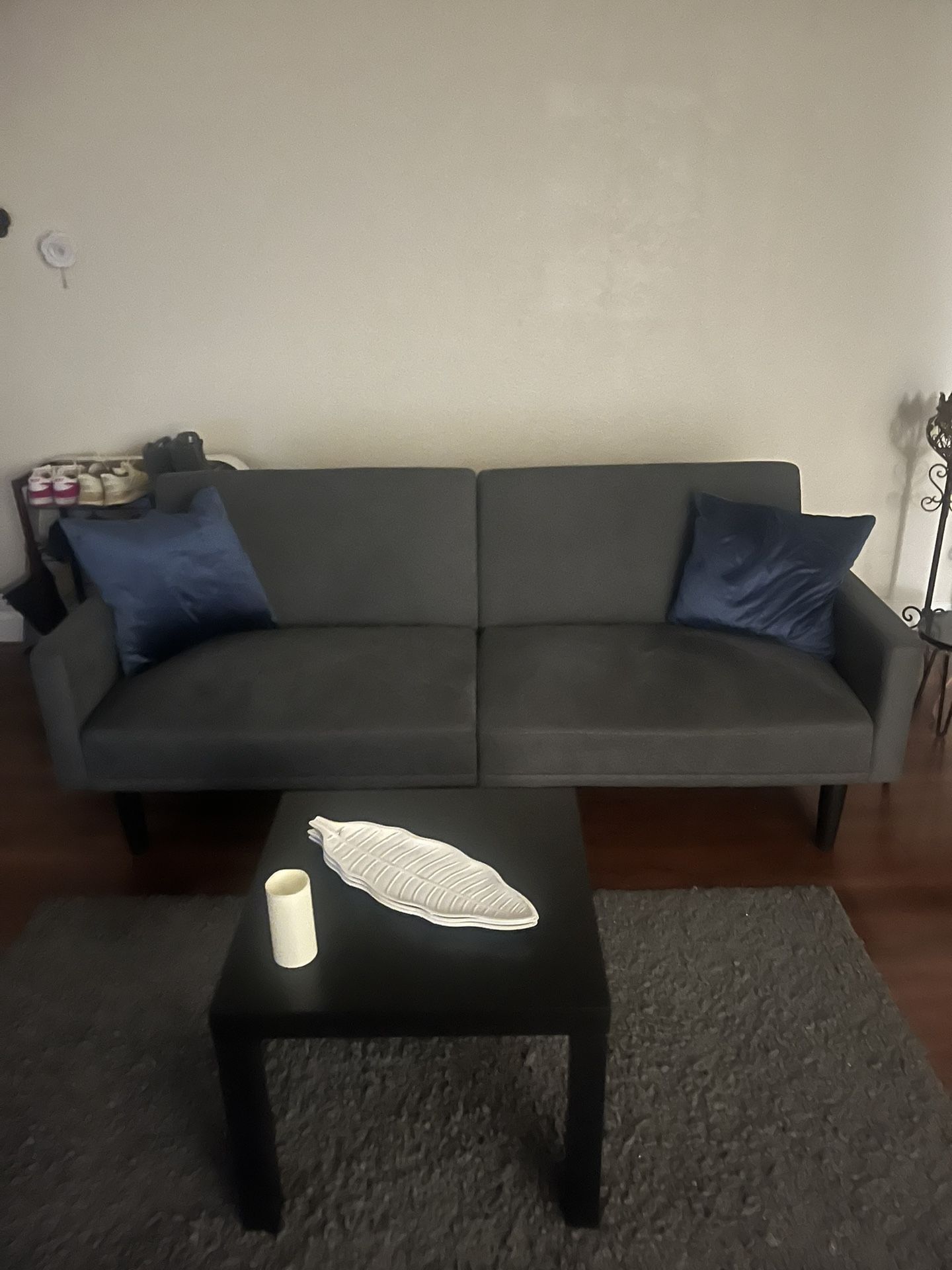 Futon Couch