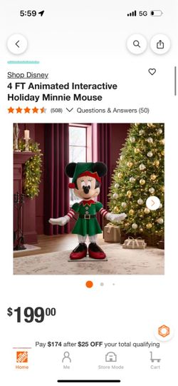 Mickey n Minnie
