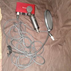 Microphone And Interface 