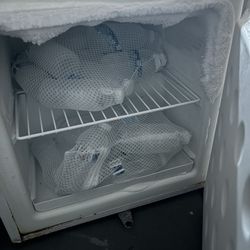 Mini Freezer Used For Ice Bath