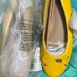 Brand New Ballet Flat Women’s Size 9 New
