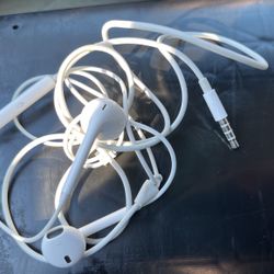 Apple Headphones  