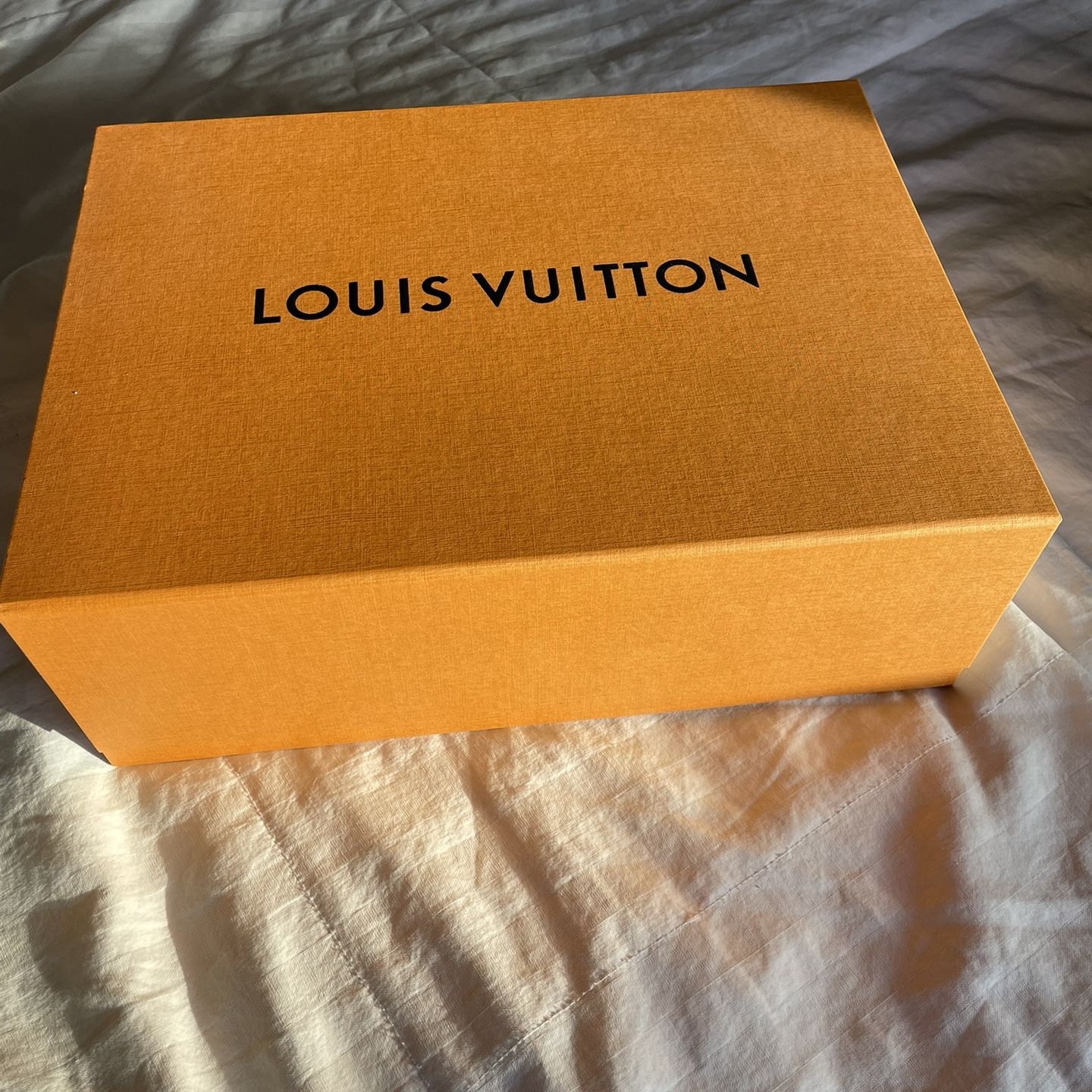 Louis Vuitton Handbag 