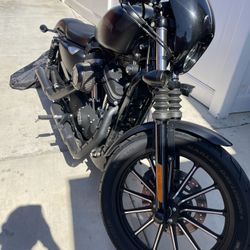 2013 Harley Davidson 