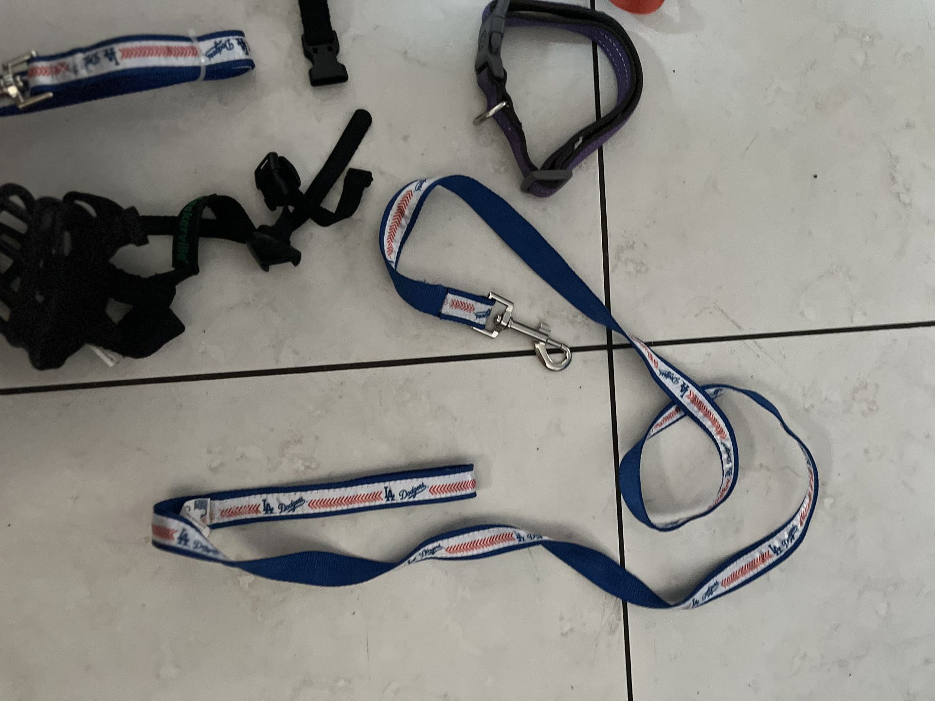 Dogs Accessories