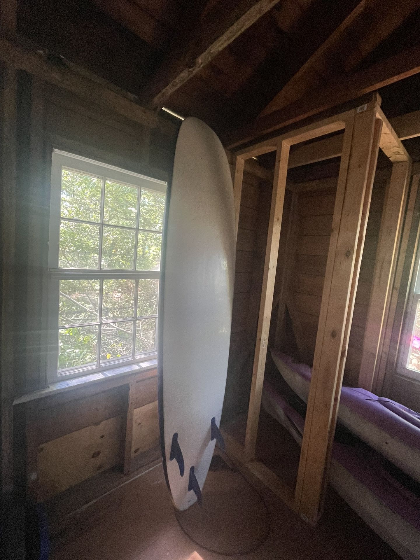 Surf Board