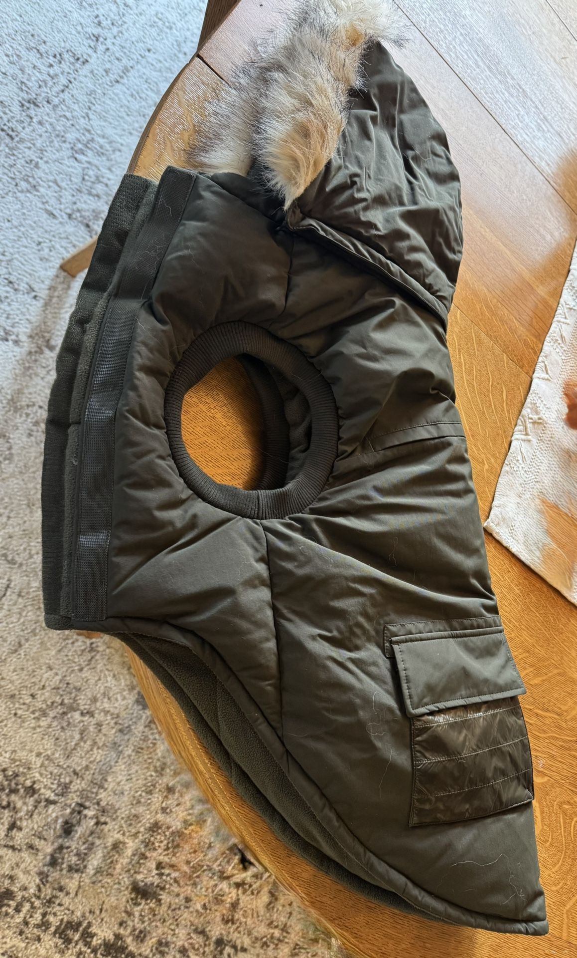 Super Cute DOG Puffer Coat