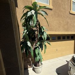 12ft Faux Tree.  