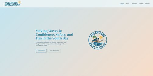 Professional Website Design for Businesses & Organizations
