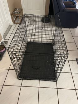 Large Metal Dog Cage 28inches Wide X31 Inches Tall X42 Inches Long