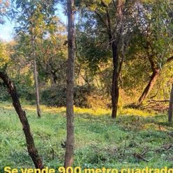 Vendo Terreno en Zapotlanejo
