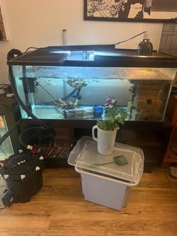75 gallon aquarium with FX4 canister filter.