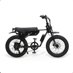 E-Bike 750W 48V Fat Tire Cruiser