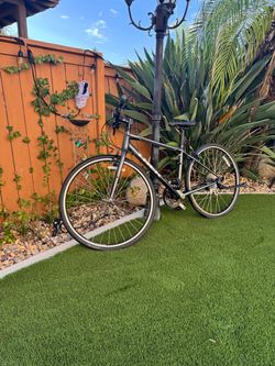 2024 Trek FX 1 (Medium - 50cm)
