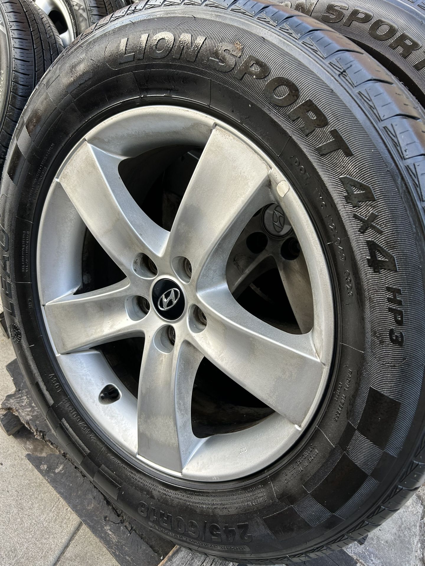 4- LION RADIAL SPORTS 