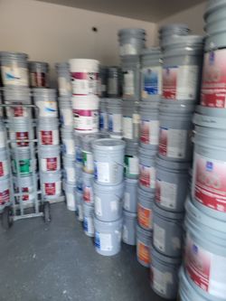 Paint and primer