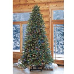 7-9’ Christmas Tree