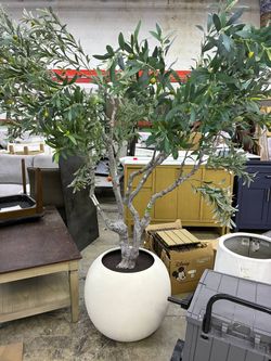 Artificial Olive Tree in White Round Planter