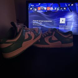 Nike Dunk Low “ Next Natures”