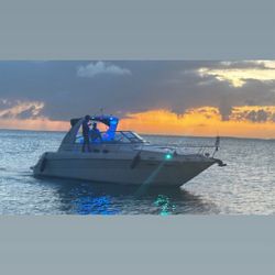 Bote Sea Ray 2001