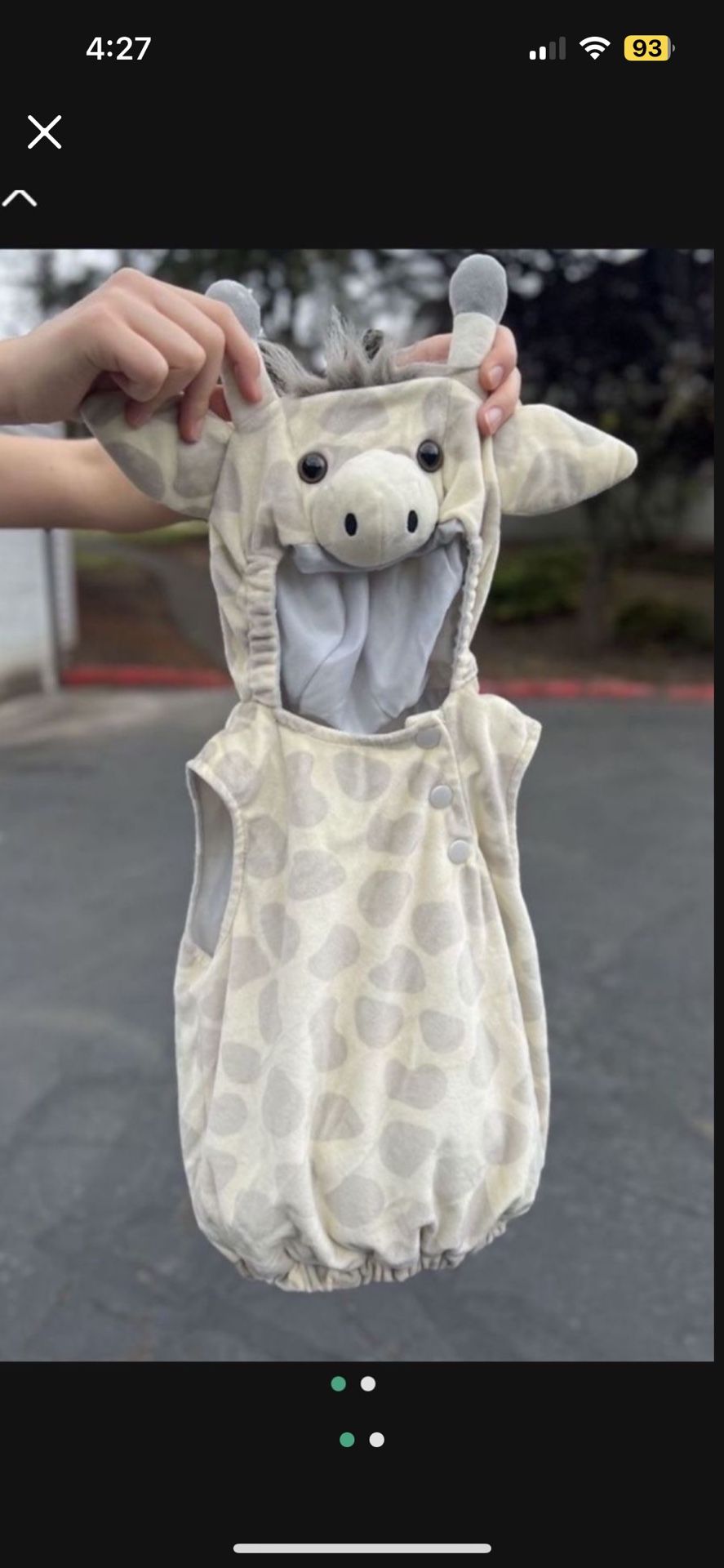 Boys Giraffe Costume 