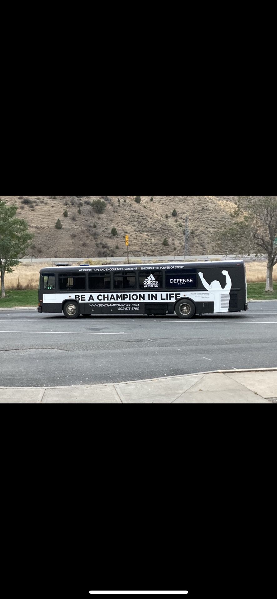 Scoolie RV Bus Conversion