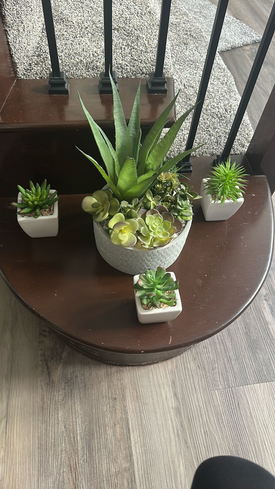 Plant Set