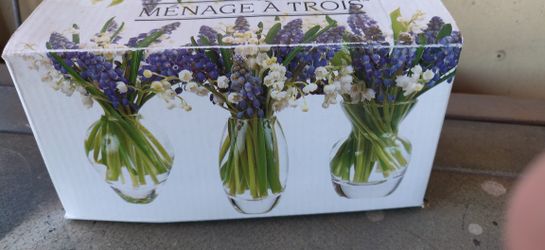 3 Mini Ginger Flower Vase
